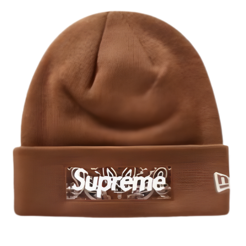 FW19 Box Logo Brown Beanie