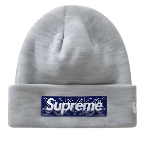 FW19 Box Logo Heather Grey Beanie