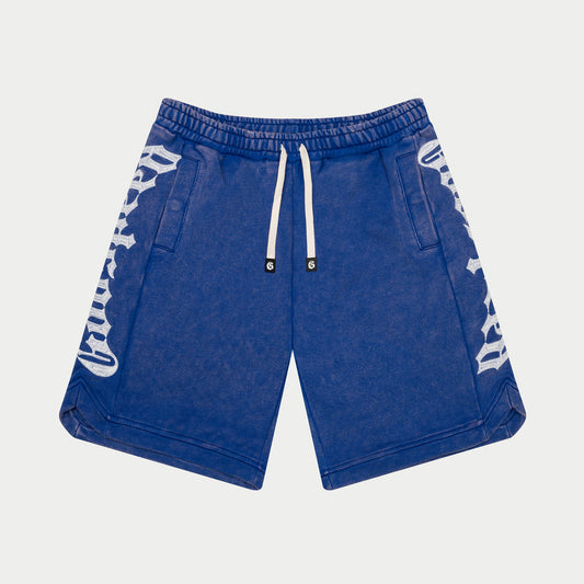 Courtside Shorts Royal Wash